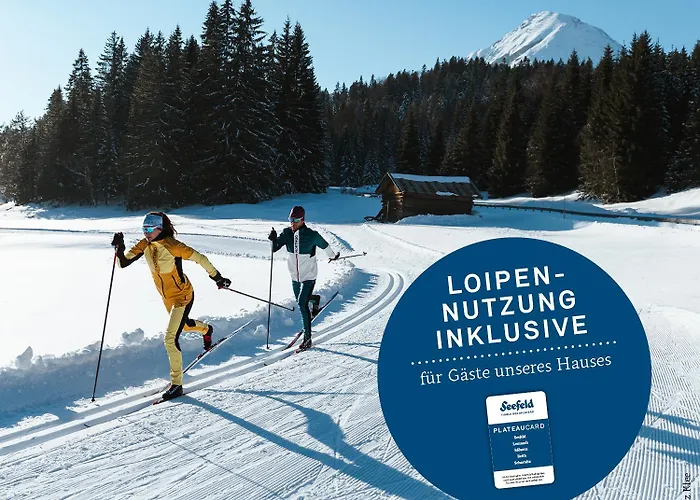 Apartment Andys Bergglück *